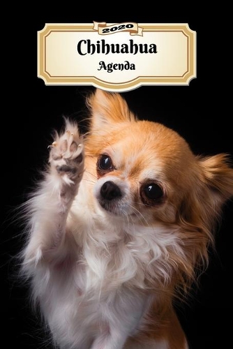 2020 Chihuahua Agenda: 107 Pagine - Dimensioni DIN A5 - Pianificatore Settimanale - 12 Mesi - Due Pagine Per Settimana - Calendario - Diario - Cane
