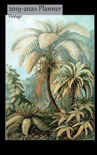 2019-2020 Planner Vintage: Small 2 Year Bi Weekly 2019-20 Organizer With Yearly, Monthly and Address Pages And Palm Trees and Ferns Cover