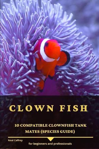 Clown Fish: 10 Compatible Clownfish Tank Mates (Species Guide)