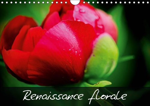 Renaissance florale ! 2019