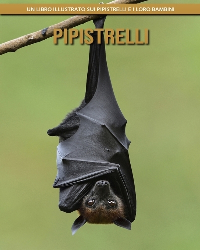Pipistrelli: Un libro illustrato sui Pipistrelli e i loro bambini