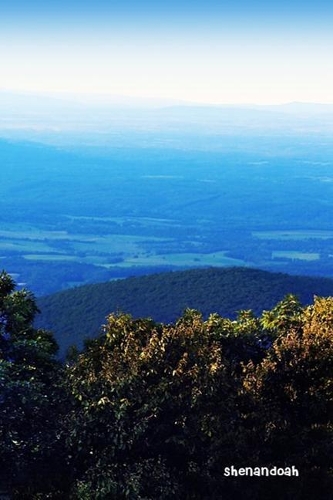 Shenandoah: National Parks of the United States, National Park in Virginia- 6'' X 9'' Lined Notebook- Work Book, Planner, Journal, Diary 120 Pages