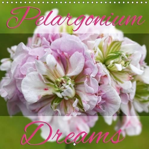 Pelargonium Dreams 2017: Discover the Beautiful World of Pelargoniums(Calvendo Nature)