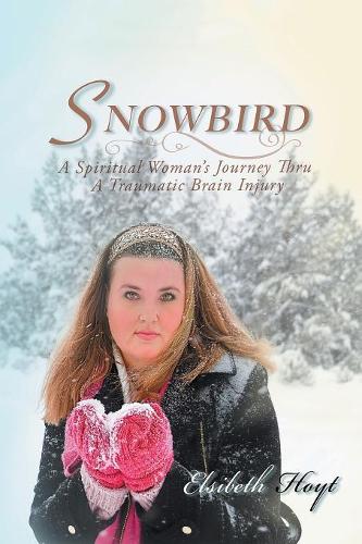Snowbird: A Spiritual Woman's Journey Thru a Traumatic Brain Injury