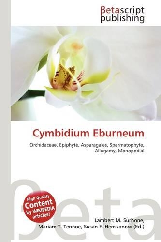 Cymbidium Eburneum