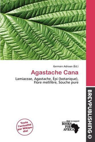 Agastache Cana: (French)
