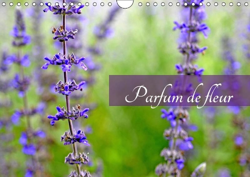 Parfum de fleur 2019