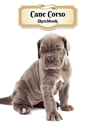Cane Corso Sketchbook
