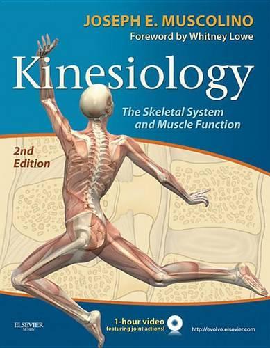 Kinesiology - E-Book