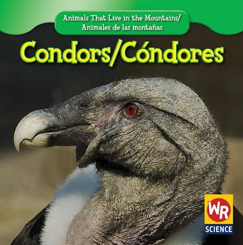 Condors / Cóndor