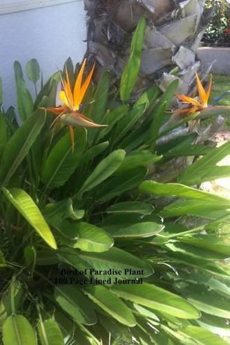 Bird of Paradise Plant 100 Page Lined Journal