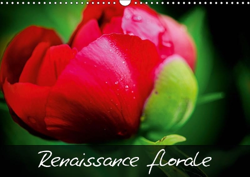 Renaissance florale ! 2019: Embellissons notre vie en admirant la beauté naturelle des fleurs !(Calvendo Nature)