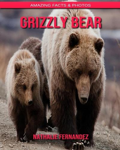Grizzly bear