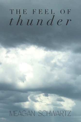 The Feel of Thunder: (2 Through the Storm)