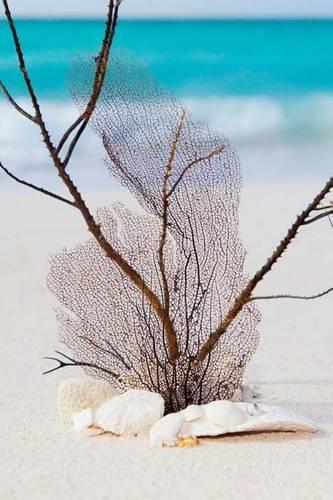 Mind Blowing Beach Concept 200 page lined journal: 200 page lined journal