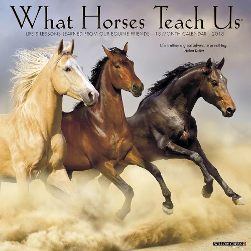 What Horses Teach Us 2018 Wall Calendar