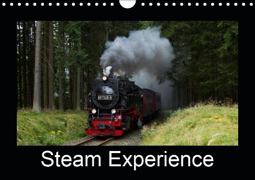 Steam Experience 2019