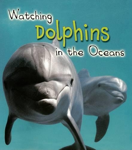 Watching Dolphins in the Oceans