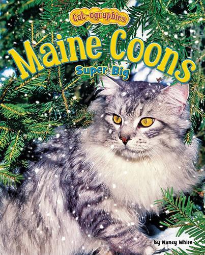 Maine Coons