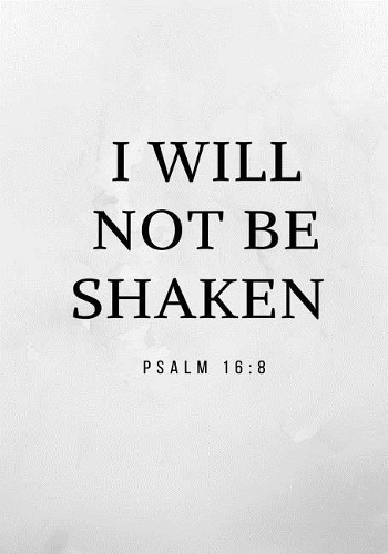 I Will Not Be Shaken