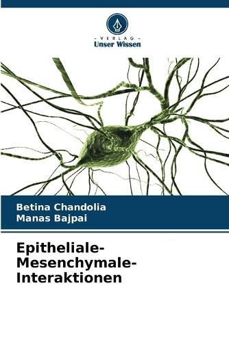 Epitheliale-Mesenchymale-Interaktionen