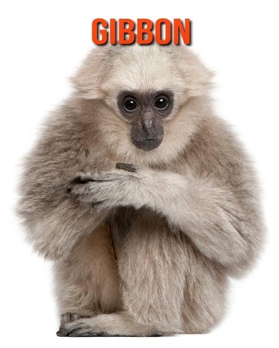 Gibbon
