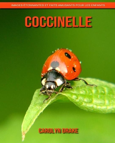 Coccinelle