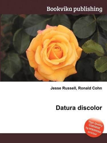 Datura Discolor