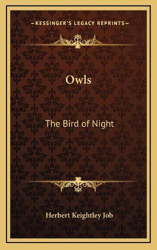 Owls: The Bird of Night