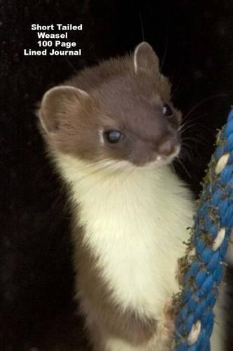 Short Tailed Weasel 100 Page Lined Journal