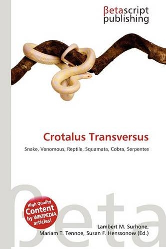 Crotalus Transversus