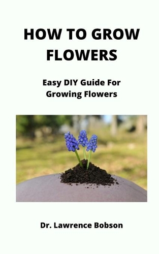 How to Grow Flowers: Easy DIY Guide For Growing Flowers