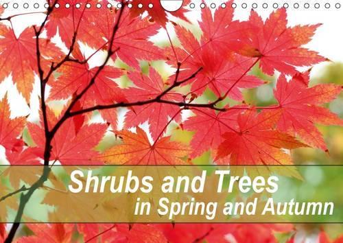 Shrubs and Trees in Spring and Autumn 2016: Blossoms and berries of shrubs and trees.(Calvendo Nature)