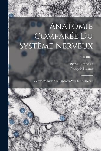 Anatomie Comparée Du Système Nerveux