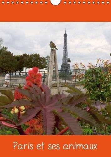 Paris et ses animaux 2015: Photos de Paris avec ses oiseaux, ses chiens, vus avec humour, par Capella MP.(Calvendo Places)