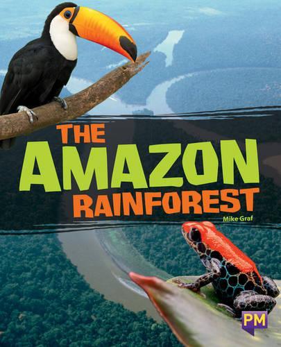 The Amazon Rainforest