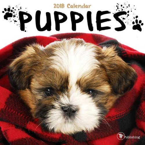 Puppies 2018 Mini Wall Calendar