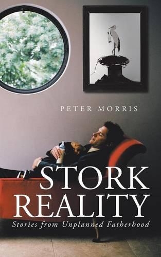 Stork Reality: Stories from Unplanned Fatherhood(English)