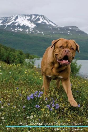 French Mastiff (Dogue de Bordeaux) Affirmations Workbook French Mastiff (Dogue de Bordeaux) Presents