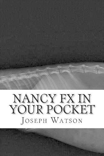 Nancy Fx in Your Pocket: (English)