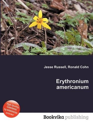 Erythronium Americanum