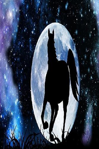 My Horse Diary: My Horse Diary size 6x9