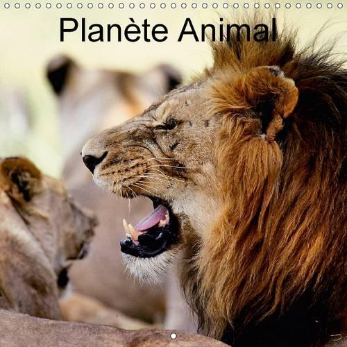Planete Animal 2017: Sachons Preserver La Faune De Cette Richesse Naturelle De Beaute Qu'elle Nous Offre.(Calvendo Animaux)