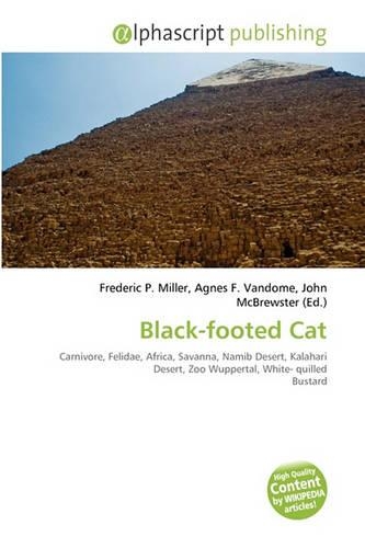 Black-Footed Cat