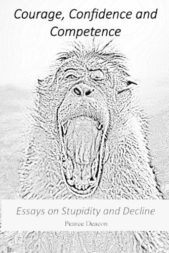 Courage, Confidence and Competence: Essays on Stupidity and Decline