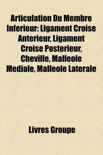 Articulation Du Membre Inferieur: Ligament Croise Anterieur, Ligament Croise Posterieur, Cheville, Malleole Mediale, Malleole Laterale(French)