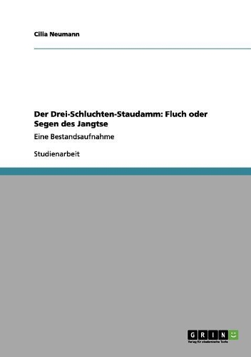 Der Drei-Schluchten-Staudamm: Fluch oder Segen des Jangtse: Eine Bestandsaufnahme(German)