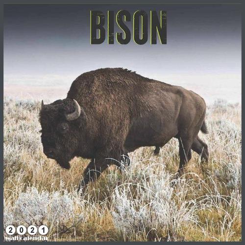 Bison 2021 Calendar