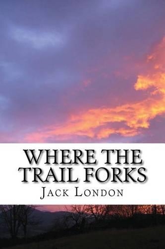 Where the Trail Forks