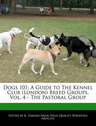 Dogs 101